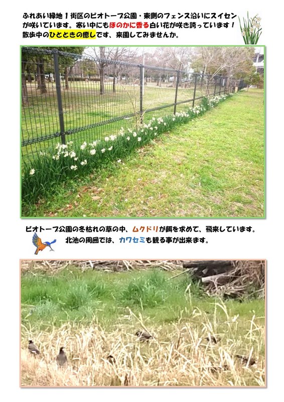 公園の風景_page-0001 (1).jpg
